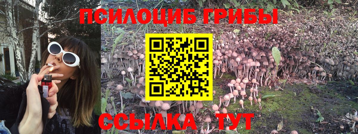 Дмитров  Галлюциногенные грибы MAGIC MUSHROOMS  Вход с VPN 