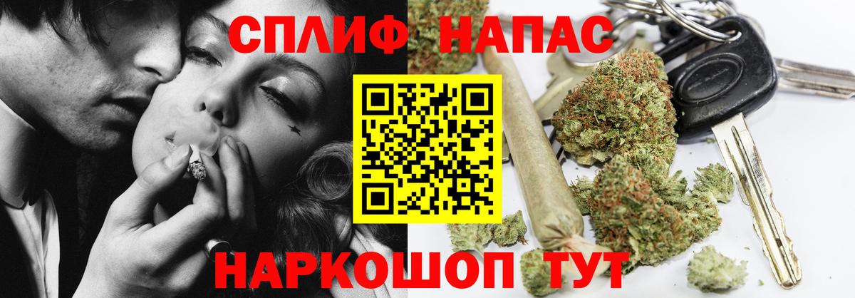 Конопля план Дмитров